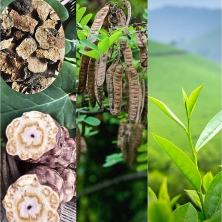 Các loại thảo mộc giúp giảm tình trạng rụng tóc